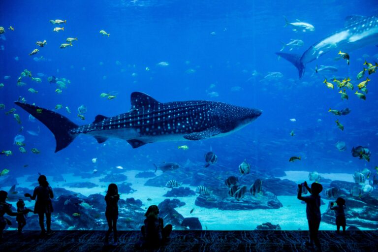 Aquarium du Périgord noir, visite en famille à faire absolument!