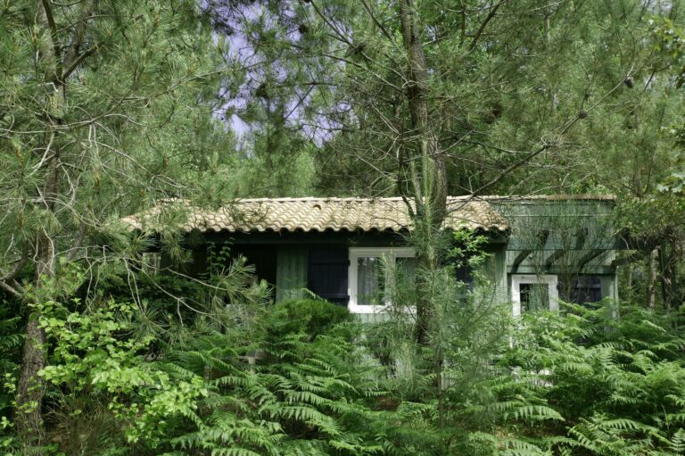 Petit chalet niché dans la verdure, sans vis à vis