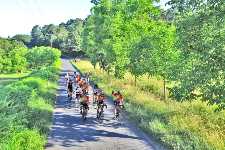 Groupe de cyclistes en randonnée à la journée avec pique nique à midi