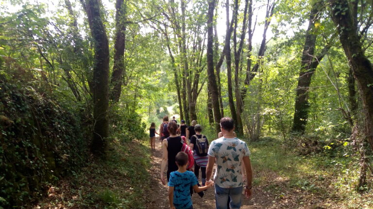 Balade dans les bois autour des Ventoulines, une des animations gratuites de l'été