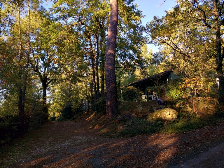 Vue d'un chalet famille, au milieu des arbres