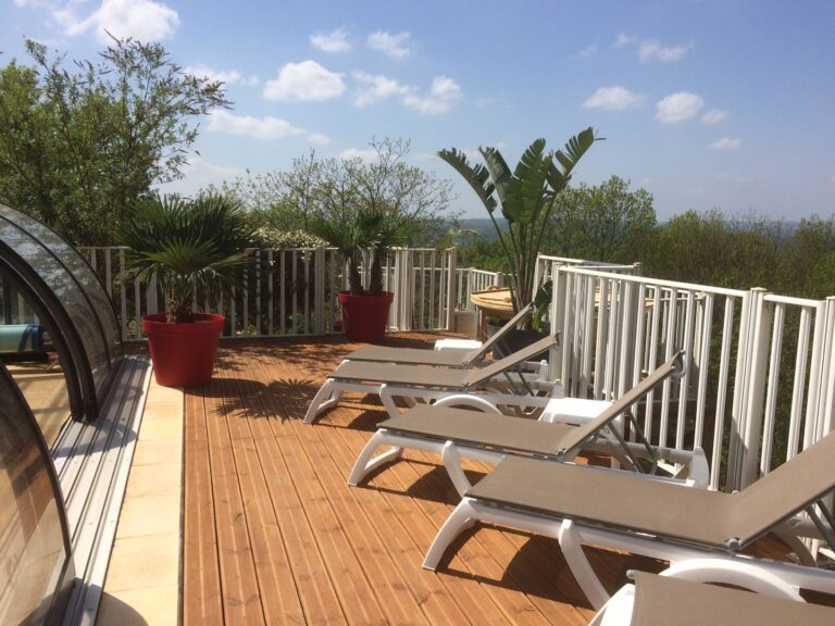 terrasse bananiers piscine