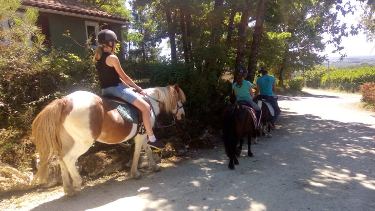 En été, vos enfants pourront participer à une animation poney