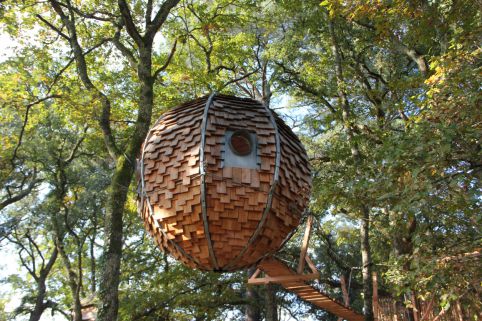 Lovnid, un hébergement insolite pour les amoureux des arbres et de la nature