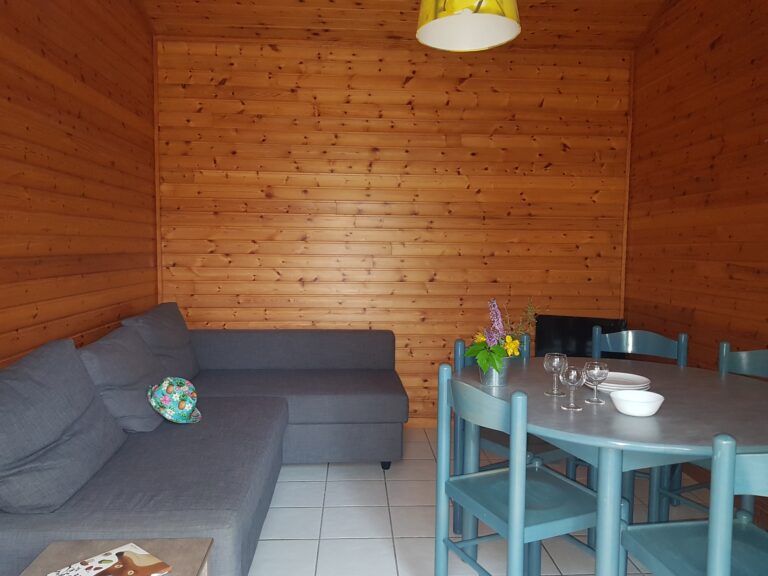 salon chalet famille