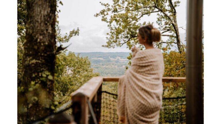 la vue